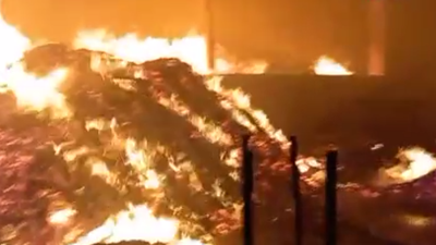 Kereste fabrikasında yangın: Küle döndü!