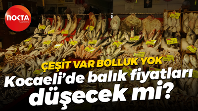 Çeşit var bolluk yok... Kocaeli'de balık fiyatları düşecek mi?
