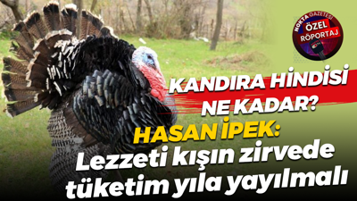 Hasan İpek: Kandıra hindisinin lezzeti kışın zirvede, tüketim yıla yayılmalı
