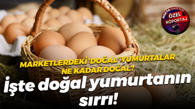 Hasan İpek: Doğal yumurtanın sırrı stres yokluğunda ve güneş enerjisinde saklı