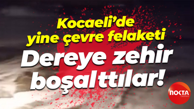 Kocaeli’de yine çevre felaketi; Dereye zehir boşalttılar!