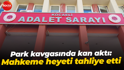 Park kavgasında kan aktı: Mahkeme heyeti tahliye etti