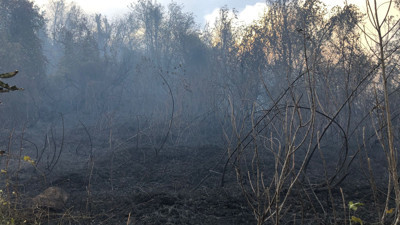 Ziraat alanında çıkan yangın ormanlık alana sıçradı!
