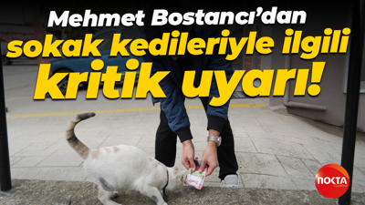 Kocaeli Veteriner Hekimler Oda Başkanı Mehmet Bostancı'dan sokak kedileriyle ilgili kritik uyarılar!