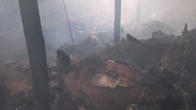 Erzurum'da ahır yangını! Onlarca hayvan telef oldu