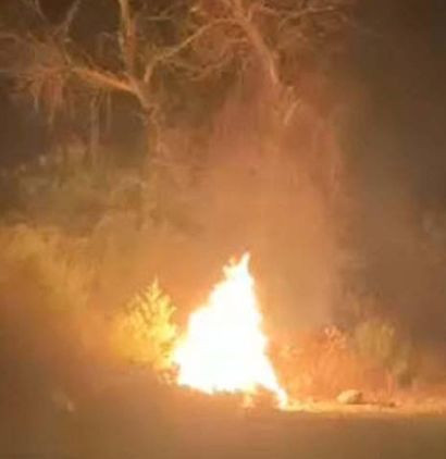 Ormanı yakıp kaçtılar! - Resim: 3