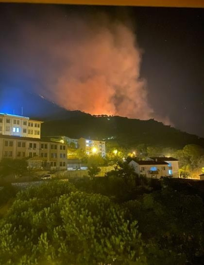 Marmara Adası'nda yangın çıktı! - Resim : 1