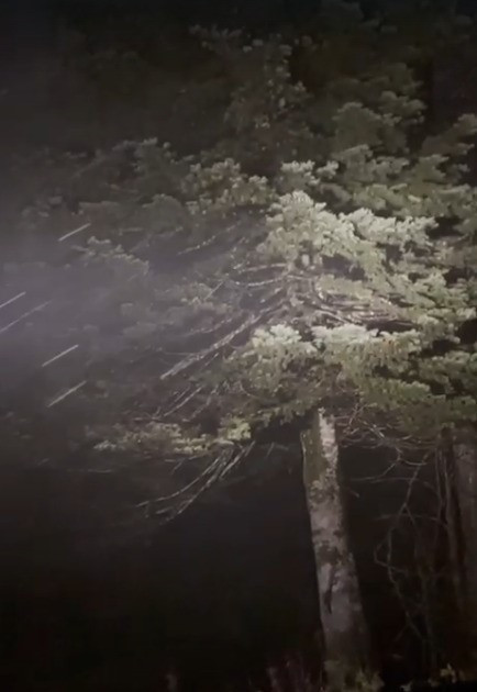 Kocaeli'ye mevsimin ilk karı düştü - Resim : 1