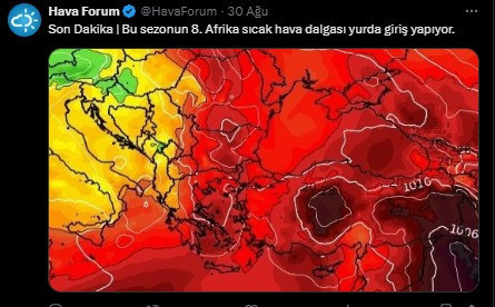 Afrika’dan 8’inci kez Türkiye’ye geldi… Artık yetmedi mi? - Resim : 1