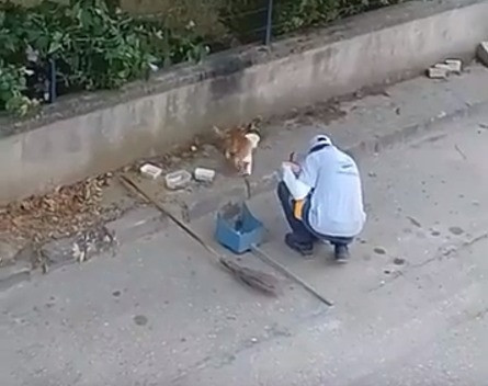 Güne sıcak bir başlangıç... Sokakları temizlerken kalplere de dokunuyor - Resim : 2