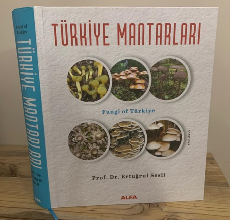 Prof. Dr. Ertuğrul Sesli mantar zehirlenmeleri konusunda uyardı: Etiketsiz ürün almak risk almaktır - Resim : 2