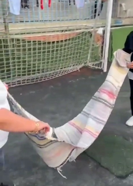 Yavuzspor’dan akıl almaz tepki! Bakıma muhtaç tesislerine evden getirdikleri halı ve kilimleri serdiler! - Resim : 1