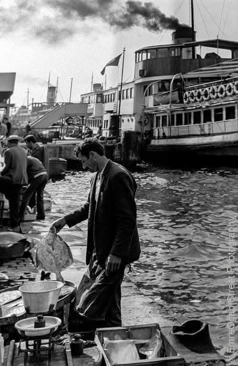Bana Sürdürülebilir Şekilde Balık Tutmayı Öğret - Resim : 1