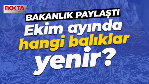 Tarım ve Orman Bakanlığı paylaştı: Ekim ayında hangi balıklar tüketilir?