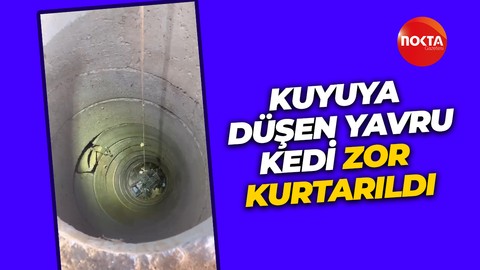 Kuyuya düşen yavru kedi zor kurtarıldı!