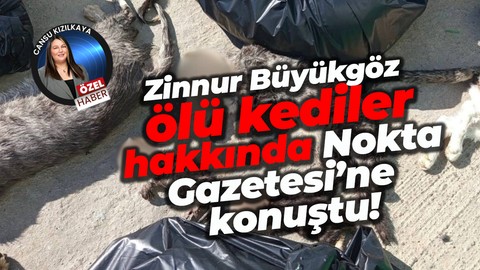 Zinnur Büyükgöz ölü kediler hakkında konuştu!
