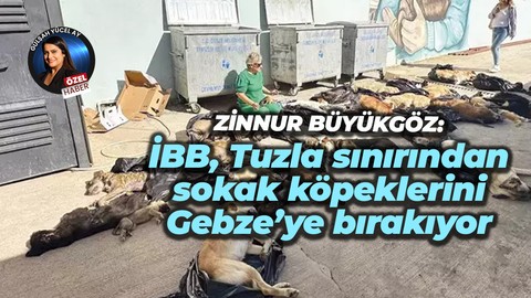 Zinnur Büyükgöz: İBB, Tuzla sınırından sokak köpeklerini Gebze’ye bırakıyor