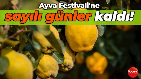 Kartepe Ayva Festivali'ne sayılı günler kaldı!