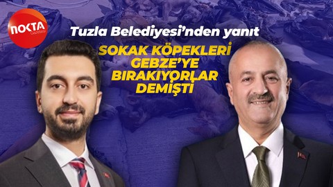 Zinnur Büyükgöz'ün sokak köpekleri açıklamasına Tuzla Belediyesi'nden yanıt