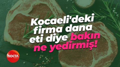 Kocaeli'deki firma dana eti diye bakın ne yedirmiş!