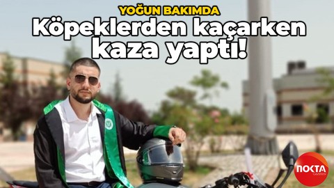 Köpeklerden kaçarken kaza yaptı: Yaşam savaşı veriyor!
