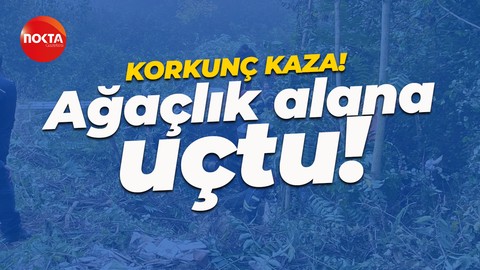 İzmit'te korkutan kaza! Kamyon ağaçlık alana uçtu