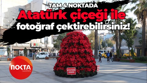 Kocaeli Büyükşehir Belediyesi'nden Atatürk çiçeği