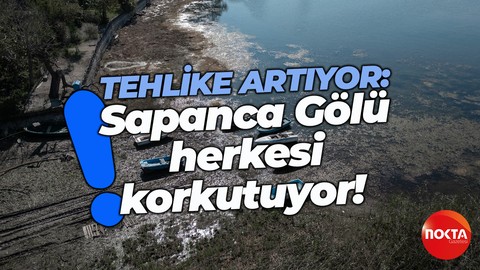 Sapanca Gölü'nde korkutucu durum! Görenler endişeleniyor