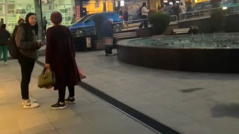 Süs havuzuna tuvaletini yapan kişi kameralara yansıdı