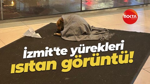Köpeği soğuktan korumak için üzerine şal örttüler!