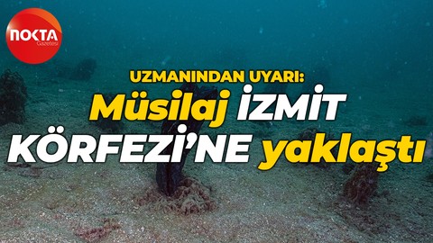 Prof. Dr. Mustafa Sarı bu sözlerle uyardı: Müsilaj, İzmit Körfezi’ne yaklaştı
