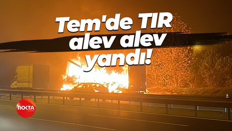 Tem'de TIR alev alev yandı!