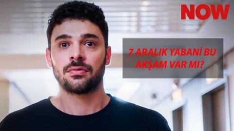 7 Aralık Yabani Bu Akşam Var Mı? Yabani Dizisi Yeni Bölüm Ne Zaman?