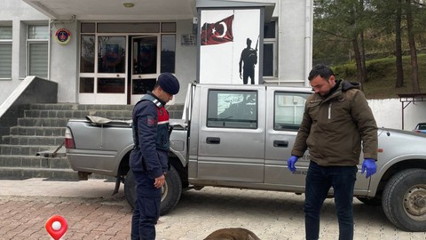 Jandarmadan yaralı karacaya yardım eli