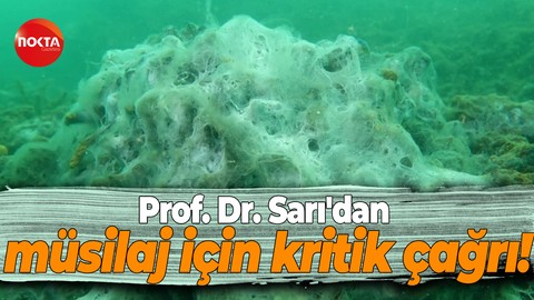Prof. Dr. Sarı: Kirliliği durdurmazsak sular ısınınca yüzeyi kaplayacak