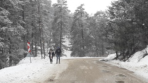 Abant Gölü Milli Parkı'nda görsel şölen