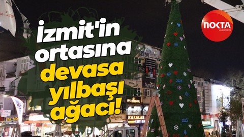İzmit'in ortasına devasa yılbaşı ağacı!
