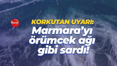 Deniz Bilimci Prof. Dr. Mustafa Sarı’dan korkutan uyarı: Marmara’yı örümcek ağı gibi sardı!