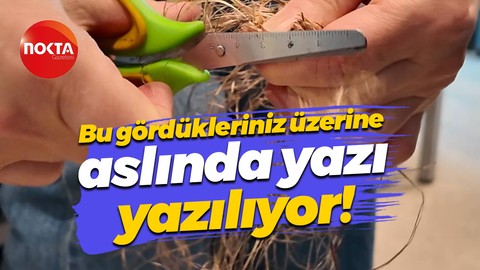 Bu gördükleriniz kağıt oluyor! SEKA Kağıt Müzesi’nde deneyimleyebilirsiniz
