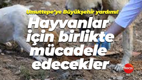 Umuttepe’ye Büyükşehir yardımı! Sahipsiz hayvanlar için birlikte mücadele edecekler