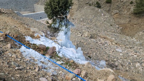 Borudan sızan suyla çam ağacı buzdan ağaca döndü