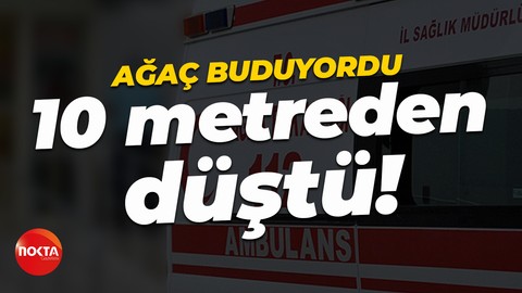 Ağaçtan düşen vatandaş yaralandı!
