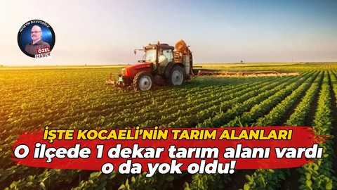 İşte Kocaeli’nin tarım alanları… O ilçede 1 dekar tarım alanı vardı o da yok oldu!