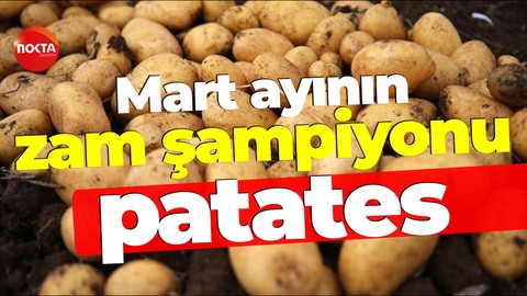 Mart ayının zam şampiyonu patates