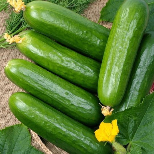 Doktorlar salatalık tüketmenin neden olduğunu açıkladı - Resim: 5