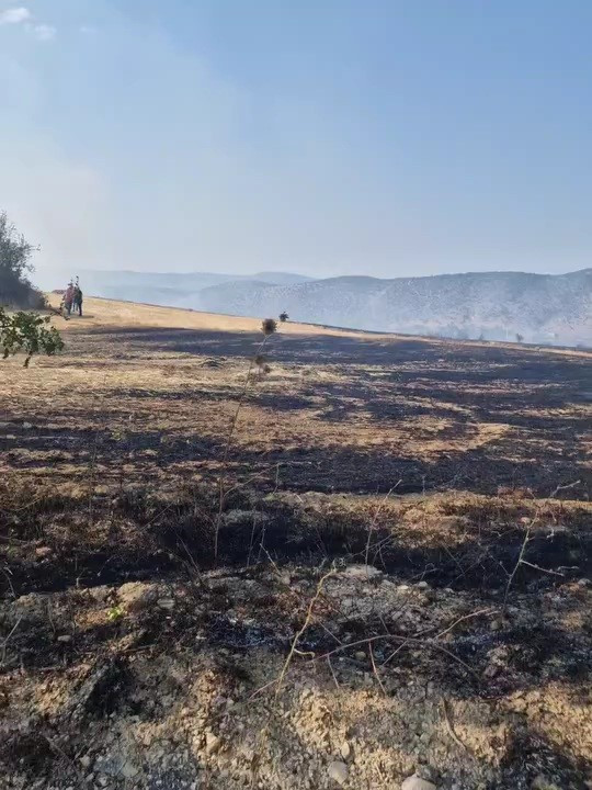 Çıkan anız yangını korkuttu! - Resim : 2
