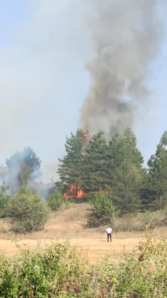 Çıkan anız yangını korkuttu! - Resim : 1