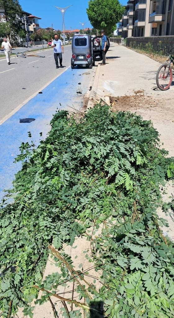 Korkutan kaza! Önce ağaca sonra direğe... - Resim : 1