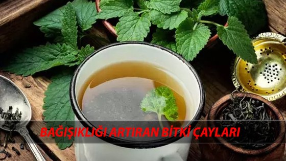 Ocak Ayında Bağışıklığı Artıran Bitki Çayları Önerileri | Kış Aylarında Direncinizi Artıracak Çaylar