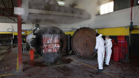 Tıbbi atıkların bertarafı, Kocaeli Büyükşehir Belediyesi güvencesinde